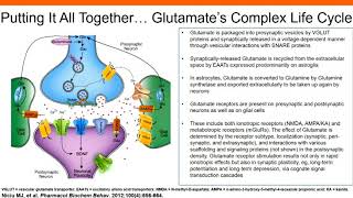 The Role of Glutamatergic Signaling in Major Depressive Disorder [upl. by Yenhoj]