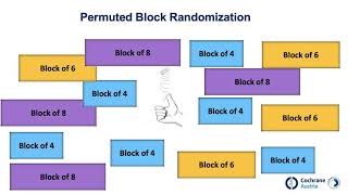 Randomization random allocation [upl. by Minnaminnie]