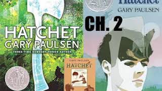 Hatchet  Audiobook Chapter 02 [upl. by Luann]