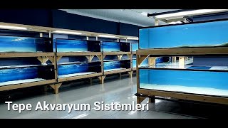 TEPE AKVARYUM SİSTEMLERİ  Akvaryum İmalatı [upl. by Neffets]