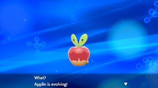 How to Evolve Applin into Flapple or Appletun  Pokémon Sword amp Shield [upl. by Archibald251]