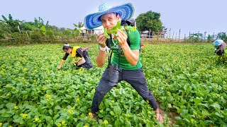 Isan amp Lao Food Mekong River HARVEST amp EAT 🥬 Nakhon Phanom Thailand [upl. by Norahc422]