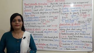 Class 24 Auxin  Introduction Function amp Application of Auxin  Types of Plant Hormone Part 1 [upl. by Hildagarde]