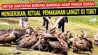 Ritual Pemakaman Langit di Tibetjenazah sengaja dijadikan makanan burung [upl. by Coop552]