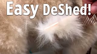 Easiest way to DESHED Any DOG at Home [upl. by Enilrac]