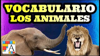 🦈🦁Vocabulario de los animales en ingles para niños PRONUNCIACIÓN 🐷🐢 [upl. by Cathryn]