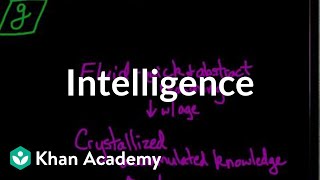 Intelligence  Processing the Environment  MCAT  Khan Academy [upl. by Aietal]