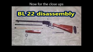 Browning BL 22 how to remove wood stock and forearm [upl. by Digdirb]