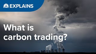 What is carbon trading  CNBC International [upl. by Humphrey]