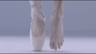 Ballet Anatomy Feet [upl. by Ayrolg]