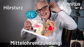 Das Ohr  Tinnitus Mittelohrentzündungen Tuben Probleme uvm  Ursache und Hilfe  Teil 1 [upl. by Ribal]