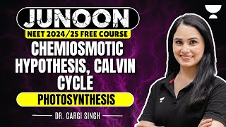 Photosynthesis  Chemiosmotic Hypothesis Calvin Cycle  NEET 2024  Dr Gargi Singh [upl. by Hirsh]