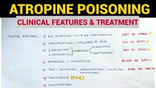 Autonomic Pharmacology  11  Atropine Poisoning  EOMS [upl. by Pall503]