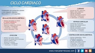 CICLO CARDIACO [upl. by Sharl]