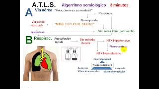 Algorritmo semiológico en trauma pptx [upl. by Clerissa]