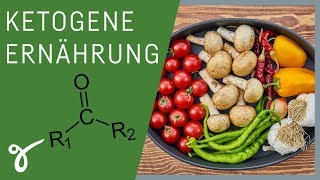 Wie funktioniert ketogene Ernährung Macht das Sinn für dich  Gerne Gesund [upl. by Amerd]