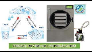 Freeze drying or Lyophilization in depth [upl. by Amaty]