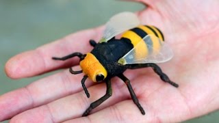 GIGANTIC WASP [upl. by Aloiv]