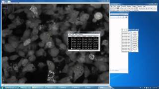 ImageJ How to Measure Mean Fluorescence Intensity Over Timelapse Image Stack Condensed [upl. by Aicele]