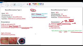 Neurofibromatosis Type 1 NF1 Mnemonic for Licensing Exams [upl. by Ahsieym]