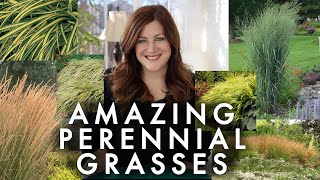 10 Perennial Grasses I Absolutely Love 🌾💚 Garden Answer [upl. by Aneerb420]