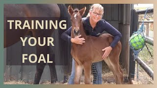 Foal Handling Tips In The First Few Days [upl. by Karol]