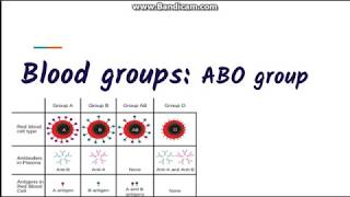 Blood grouping  ABO blood group system [upl. by Odlabso]