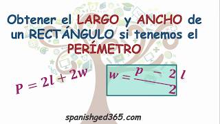 Cómo obtener el largo y ancho de un rectángulo [upl. by Irodim]