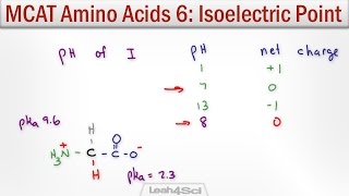 Isoelectric Point of Amino Acids with MCAT Shortcut [upl. by Kenelm]