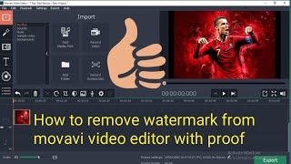 How to remove watermark from movavi with proof 2019 [upl. by Riesman]