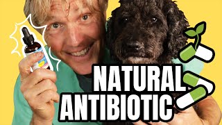 Natural Antibiotics to PREVENT and TREAT Infection [upl. by Trojan]