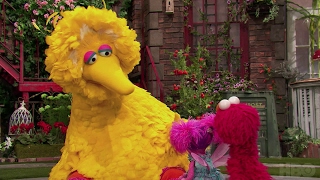 Sesame Street Season 47 Meet Julia Clip HBO Kids [upl. by Akinhoj]