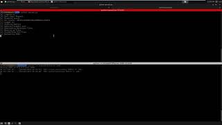 Pulse Secure SSL VPN Post Auth Remote command execution to gain SSH Shell [upl. by Apollus]