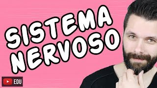 SISTEMA NERVOSO  FISIOLOGIA  Aula  Biologia com Samuel Cunha [upl. by Bal]