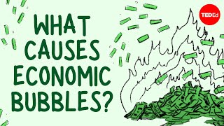 What causes economic bubbles  Prateek Singh [upl. by Sucramal]