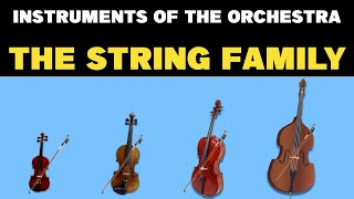 INSTRUMENT OF THE ORCHESTRA THE STRING FAMILY [upl. by Ecnarwal]