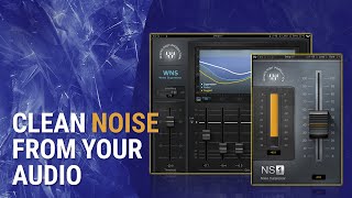 How To Clean Unwanted Noise in Audio Waves WNS  NS1 Tutorial [upl. by Lati454]