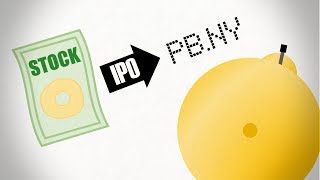 The IPO Process [upl. by Ayaros]