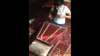 Playing the Santoor [upl. by Niamert725]