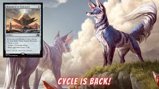 MTGA HISTORIC｜BOROS CYCLE [upl. by Analiese46]