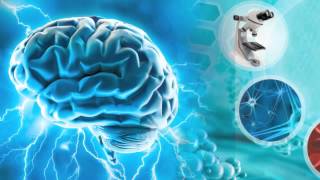 Grow New Brain Cells with Taurine Improve a Congestive Heart and Metabolic Syndrome [upl. by Zetnod]