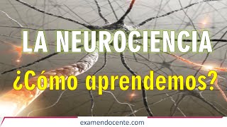 NEUROCIENCIA Y EDUCACIÓN  examen docente [upl. by Oirazan]