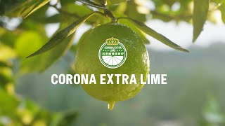 Corona  Corona Extra Lime case study [upl. by Yahsed935]