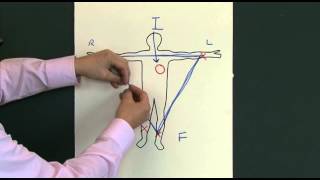 12 Lead EKG ECG [upl. by Gibbeon624]