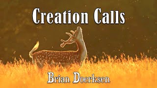 Creation Calls  Brian Doerksen  with Lyrics [upl. by Ytsirhc310]