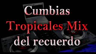 cumbias tropicales bailables de los 80 y 90 [upl. by Gayel649]