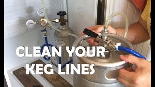 How to clean your kegerator beer lines  DO IT [upl. by Bashemeth]