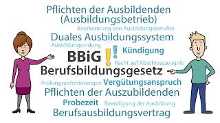 Das Berufsbildungsgesetz  BBiG [upl. by Gittle712]