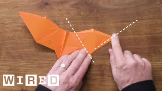 How to Fold Five Incredible Paper Airplanes  WIRED [upl. by Shaum476]