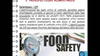 7 principi Haccp [upl. by Chema]